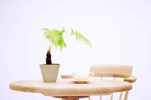 建物検査は専門家に依頼しましょう