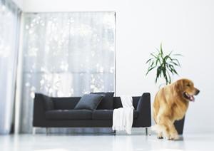 シャッター工事の依頼はここに出そう