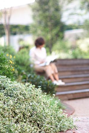 さまざまな解体を行う会社がある
