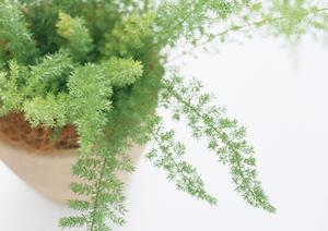 和泉市でお勧めする水まわりリフォーム