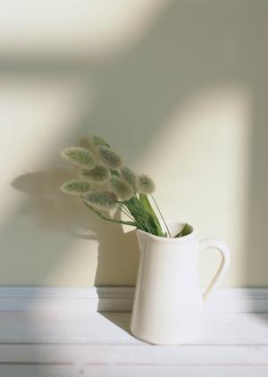 岡山市の地域に密着した不動産会社